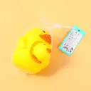 0Y8A9246.webp