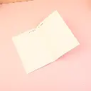 2L3A5838.webp