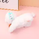 0Y8A4477.webp