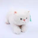 0Y8A4471.webp