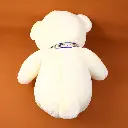 2L3A3114.JPG.webp