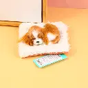0Y8A5673.webp