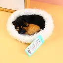 0Y8A5664.webp