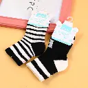 0Y8A5541.webp