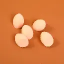0Y8A0793.webp