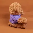 P1010081.webp