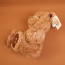 P1010077.webp