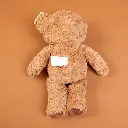 P1010102.webp