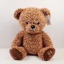 P1010137.webp