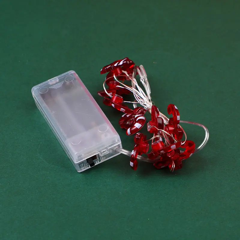 2L3A1687.webp