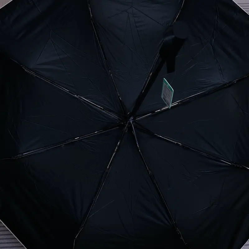 P1011841.webp