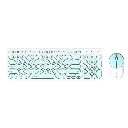 6958417502508.webp