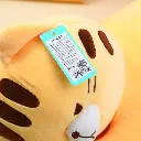2L3A6042.webp