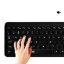 8.webp