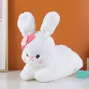 0Y8A2824.webp