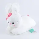 0Y8A2664.webp