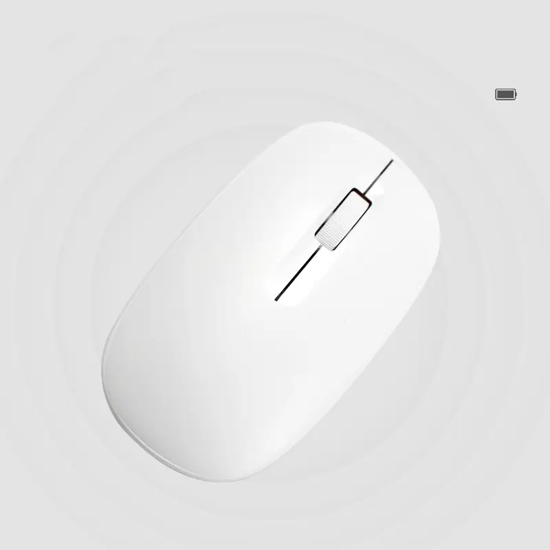 5.webp