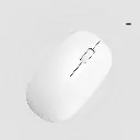 5.webp
