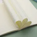 2L3A7245.webp