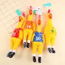 0Y8A8077.webp