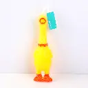 0Y8A5406.webp