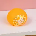 2L3A4554.webp