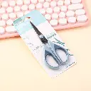 2L3A2590.webp