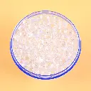 0Y8A5505.webp