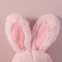 0Y8A5223.webp