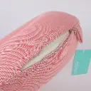 0Y8A7662.webp