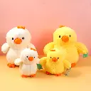 0Y8A5395.webp