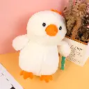 0Y8A4462.webp