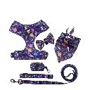 Large purple outer space 6pcs set
