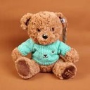 TEDDY ISLAND dark colour sitting bear pl