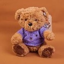 TEDDY ISLAND dark colour sitting bear pl
