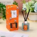 TEDDY ISLAND series rich fragrance ebony