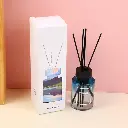 Extraordinary secret land series reed di