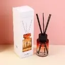 Extraordinary secret land series reed di