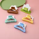 Oval acrylic hair claw clip