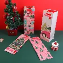 Christmas party gift and wine bag