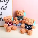 Red pentagram sweater bear plush doll-23